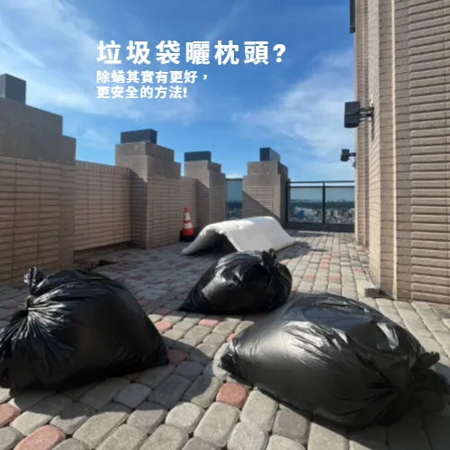 Using Trash Bags to Sun Pillows? You Might Be Inhaling Microplastics While Fighting Dust Mites