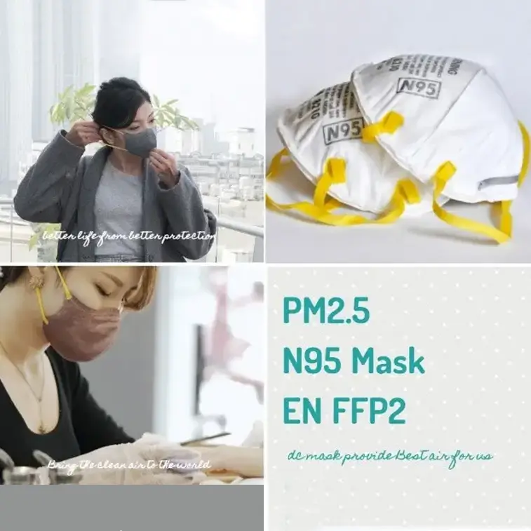 Which Mask Should You Wear for PM2.5 Air Pollution?