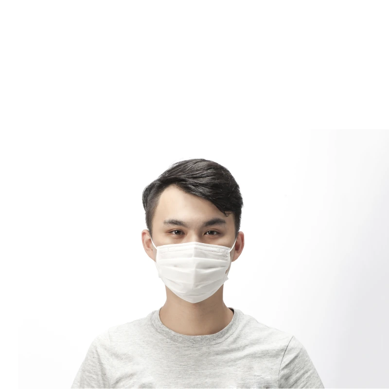 Flat N95 Mask (Adult)