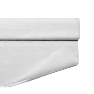 Dacian Taiwan | High-Filtration Mask Manufacturer